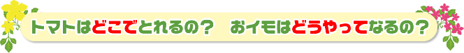 トマトはどこでとれるの？おイモはどうやってなるの？